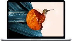 Isaac Cotec – Mixing Electronic Music In Ableton Live