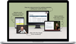 Danbee Shin – Website Audit Masterclass