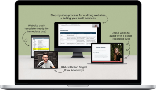Danbee Shin – Website Audit Masterclass