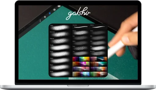 Gal Shir – Complete Procreate Toolkit