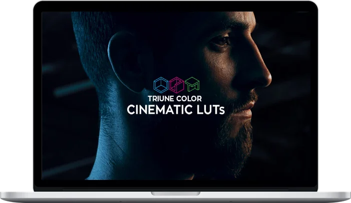 Triune Digital – Cinematic LUTs V1 Triune Digital – Cinematic LUTs V1